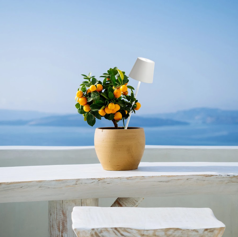 Poldina Lamp with Peg