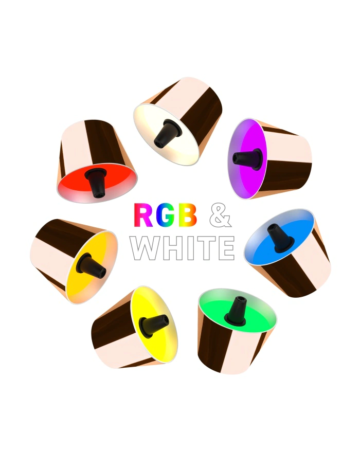 TOP 2.0 LED Rechargable Bottle Light